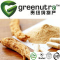 panax ginseng extract high quality ginsenoside